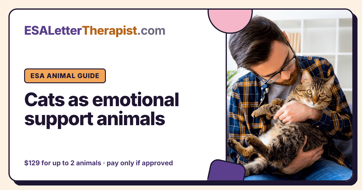 Cats as emotional support animals, ESA Letter Therapist ESA animal guide