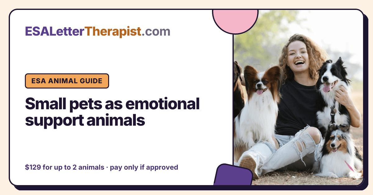 Small pets as emotional support animals, ESA Letter Therapist ESA animal guide